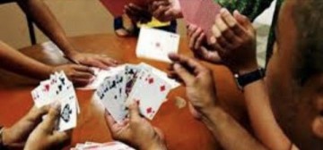 https://kokansadlive.com/uploads/article/sml_32442_pic_20260811.2319.jpg