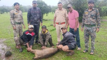 https://kokansadlive.com/uploads/article/sml_32505_pic_20260812.2029.jpg