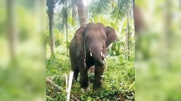 https://kokansadlive.com/uploads/article/sml_32995_pic_20260824.2102.jpg