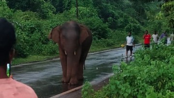 https://kokansadlive.com/uploads/article/sml_33025_pic_20260825.2034.jpg