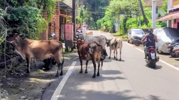 https://kokansadlive.com/uploads/article/sml_33329_pic_20260902.1844.jpg