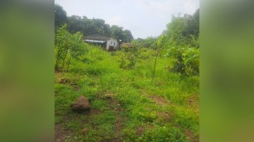 https://kokansadlive.com/uploads/article/sml_34225_pic_20260930.1915.jpg